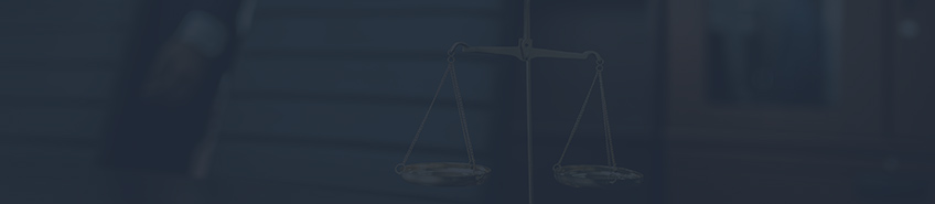 Section banner others