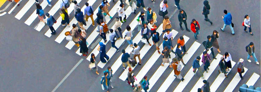 信号無視をして事故!過失割合はどうなる?