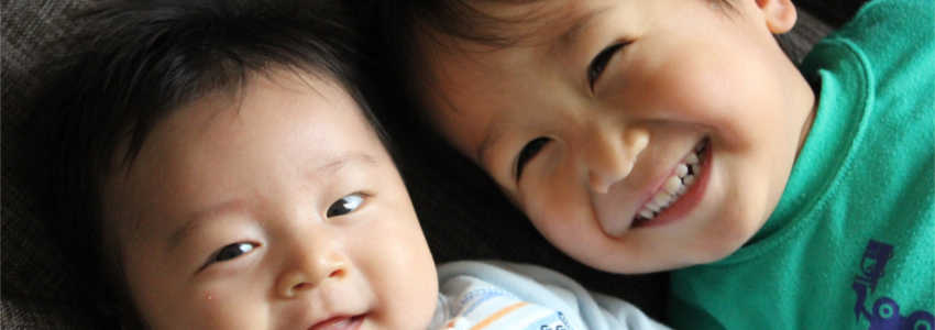 兄弟が相続人になるのはどんなとき?相続分の算定方法と注意点を解説